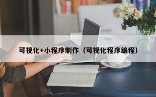 黑龙江可视化+小程序制作（可视化程序编程）